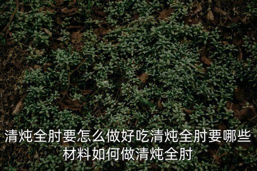 清燉全肘要怎么做好吃清燉全肘要哪些材料如何做清燉全肘