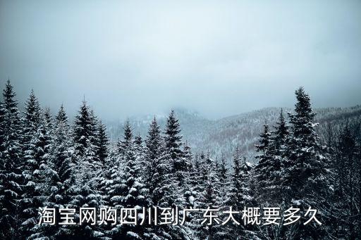 淘寶網購四川到廣東大概要多久