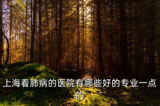 上海市肺部最好的醫院，上海看肺病的醫院有哪些好的專業一點的