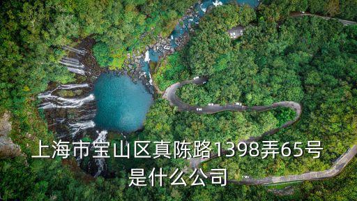 上海市寶山區(qū)真陳路1398弄65號(hào)是什么公司