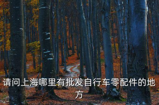 請問上海哪里有批發(fā)自行車零配件的地方