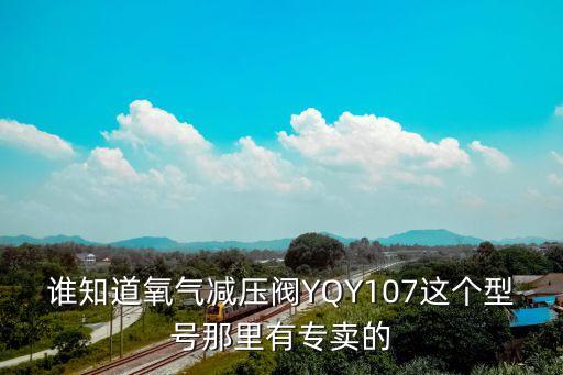 上海市海灣氣體設備有限公司，誰知道氧氣減壓閥YQY107這個型號那里有專賣的