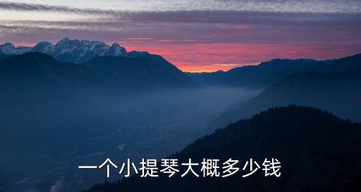 一個小提琴大概多少錢