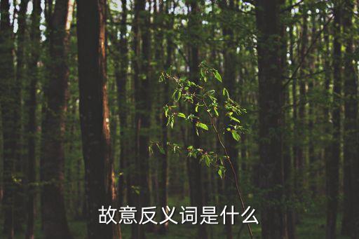 故意反義詞是什么