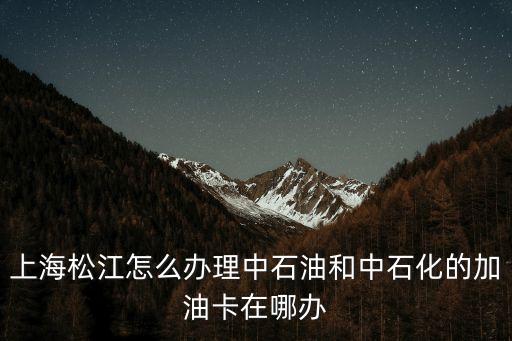 上海松江怎么辦理中石油和中石化的加油卡在哪辦