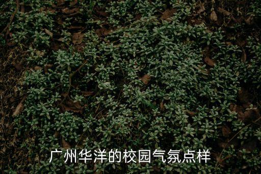 廣州華洋的校園氣氛點樣