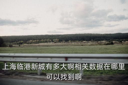 上海臨港新城有多大啊相關(guān)數(shù)據(jù)在哪里可以找到啊