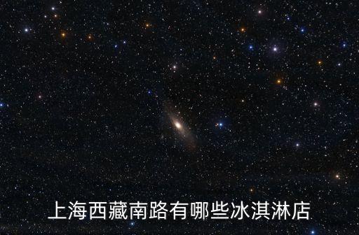 上海市沙野輕食西藏南路店，上海西藏南路有哪些冰淇淋店