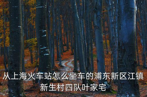 上海市潮膳鹵鵝莊世紀大道，支持七星國際是一家非常不錯的中心我以后會經(jīng)常來的賬戶是