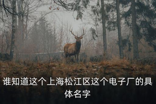 誰知道這個上海松江區這個電子廠的具體名字