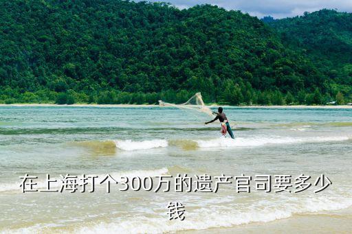上海市繼承法律師大概多少錢，在上海打個(gè)300萬的遺產(chǎn)官司要多少錢