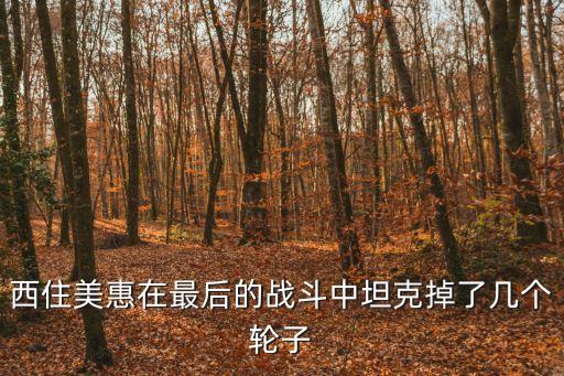最后的坦克戰(zhàn)，一起二戰(zhàn)的電影最后是兩人坦克對(duì)決是一部老電影