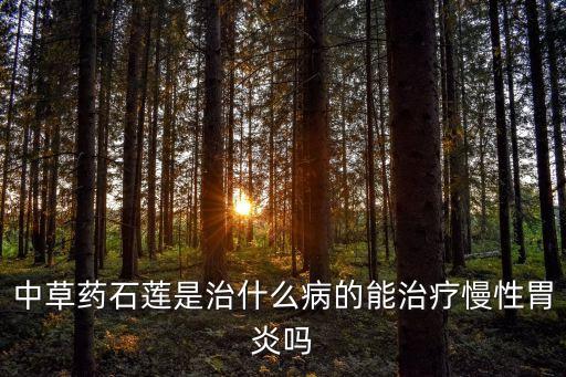 中草藥石蓮是治什么病的能治療慢性胃炎嗎