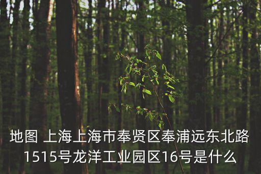 地圖 上海上海市奉賢區奉浦遠東北路1515號龍洋工業園區16號是什么