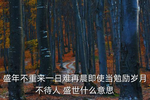 盛年不重來(lái)一日難再晨即使當(dāng)勉勵(lì)歲月不待人 盛世什么意思