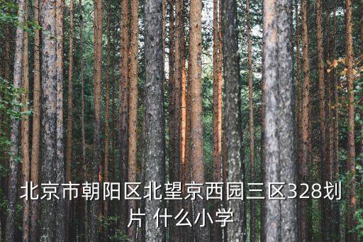 北京學區劃分，北京 小學 劃片