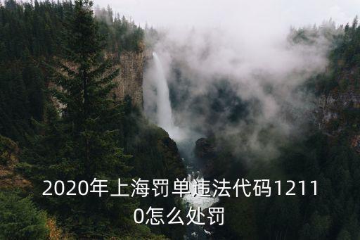 上海市稅務處罰 2020，上海的稅務報稅是怎么申報的非常急