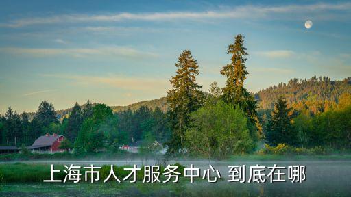 上海市人才服務(wù)中心 到底在哪