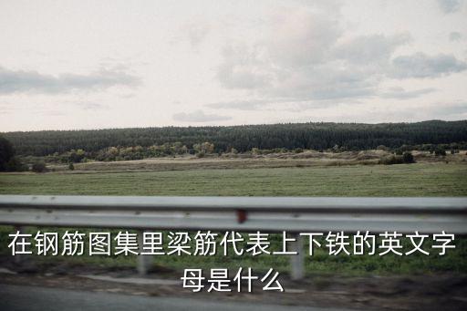 b是底筋還是面筋，B是面筋T是底筋G是腰筋L是什么呢