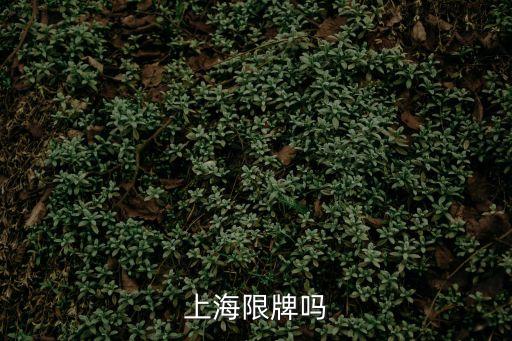 上海市限牌時段，上海市什么時候機動車限牌的