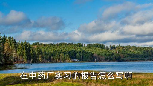 藥廠實(shí)習(xí)報(bào)告，醫(yī)藥公司實(shí)習(xí)調(diào)查報(bào)告怎樣寫
