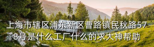 上海市轄區(qū)浦東新區(qū)曹路鎮(zhèn)民秋路578號(hào)是什么工廠什么的求大神幫助