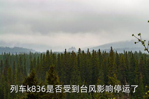 廣州江南高鐵站是否停運，廣州站的火車是全部停運了還是部分停運