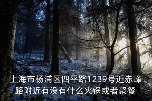 上海市四平路1239號附近商場，上海市楊浦區四平路1239號是什么店