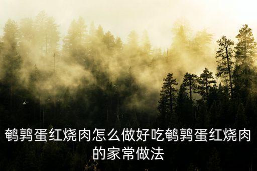 鵪鶉蛋紅燒肉，鵪鶉蛋紅燒肉怎么做