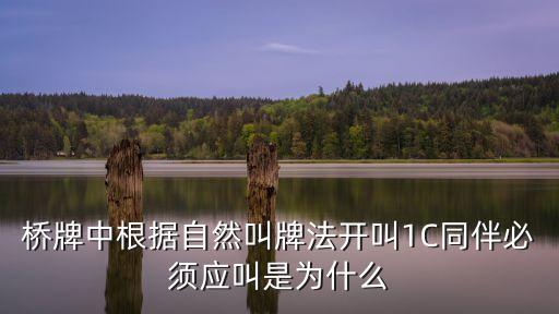 橋牌評委工資廣州，有人打橋牌嗎