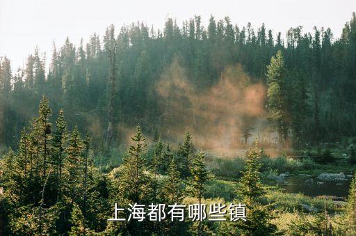 上海市近海鎮(zhèn)，上海有哪些鎮(zhèn)