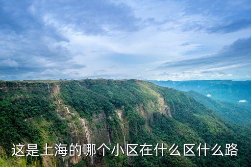 這是上海的哪個小區在什么區什么路
