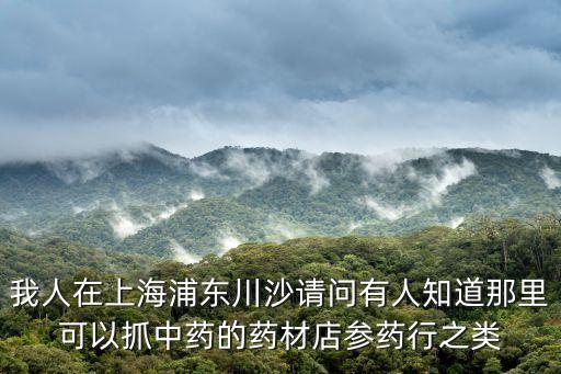 我人在上海浦東川沙請問有人知道那里可以抓中藥的藥材店參藥行之類