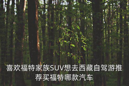 福特家族，福特家族持有福特公司多少的股份