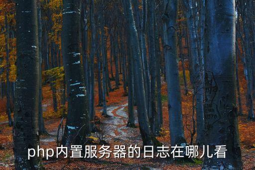 php內(nèi)置服務器的日志在哪兒看