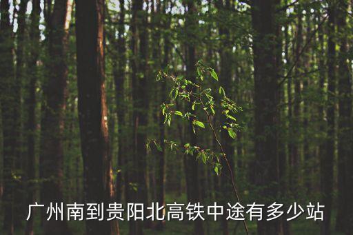 廣州南到貴陽北有多少班次高鐵，從廣州南到貴陽北的貴廣高鐵有哪幾趟?？繌慕?/></a></span><span id=