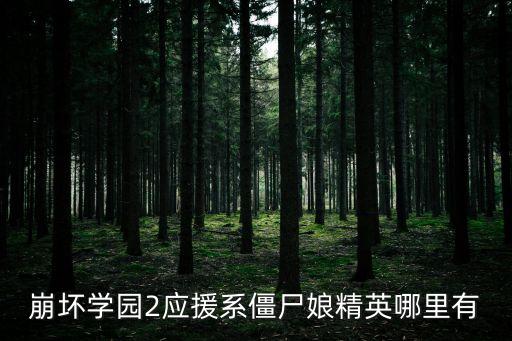 崩壞學園2應援系僵尸娘精英哪里有