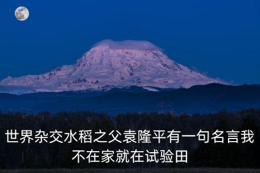 世界雜交水稻之父袁隆平有一句名言我不在家就在試驗(yàn)田