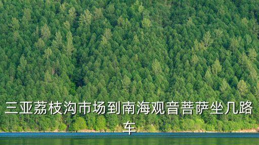 三亞荔枝溝市場(chǎng)到南海觀音菩薩坐幾路車