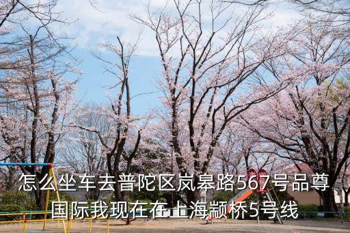 上海市普陀區(qū)嵐皋路品尊國(guó)際，普陀區(qū)嵐皋路567號(hào)品尊國(guó)際中心b座怎么樣