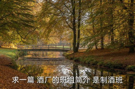 班組簡介，求一篇 酒廠的班組簡介 是制酒班