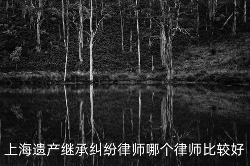 上海遺產繼承糾紛律師哪個律師比較好