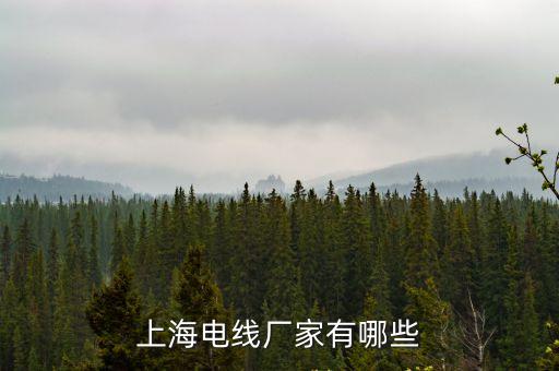 上海電線廠家有哪些