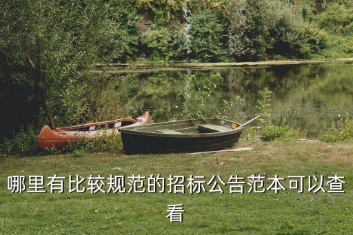 招標公告范本，哪里有比較規范的招標公告范本可以查看