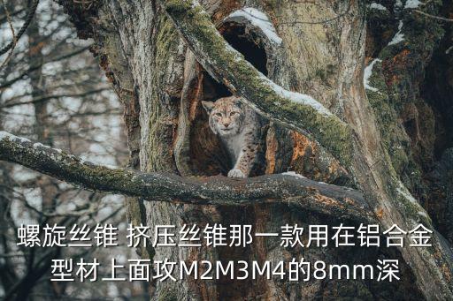 螺旋絲錐 擠壓絲錐那一款用在鋁合金型材上面攻M2M3M4的8mm深