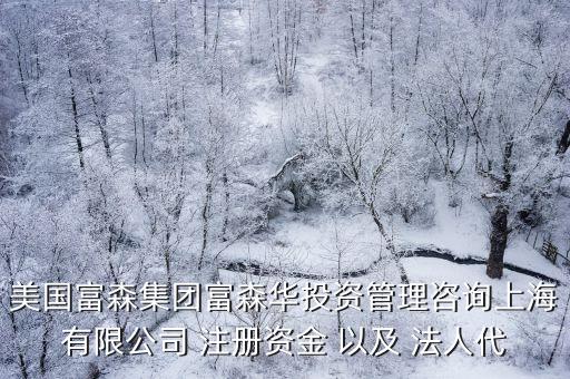美國富森集團富森華投資管理咨詢上海有限公司 注冊資金 以及 法人代