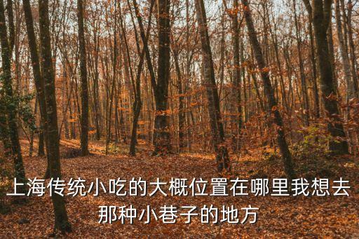 上海市古法傳統牛肉湯面銀都路店，小儀與金剛的街坊廚神每集介紹請詳細說明每集所去的地區哪間店