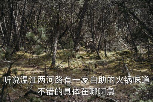 聽說溫江兩河路有一家自助的火鍋味道不錯的具體在哪啊急