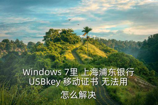 ukey不能帶出上海市，求助急電腦無法讀到上海銀行USBKEY