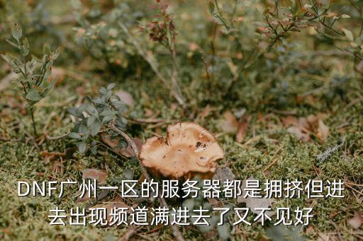 DNF廣州一區(qū)的服務器都是擁擠但進去出現(xiàn)頻道滿進去了又不見好